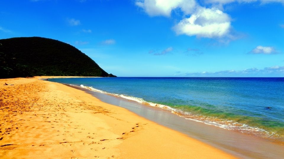 Grande Anse | Deshaies Grande Anse | Deshaies